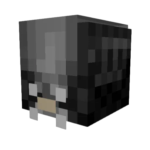ROBERT037 Minecraft avatar head, 3D render