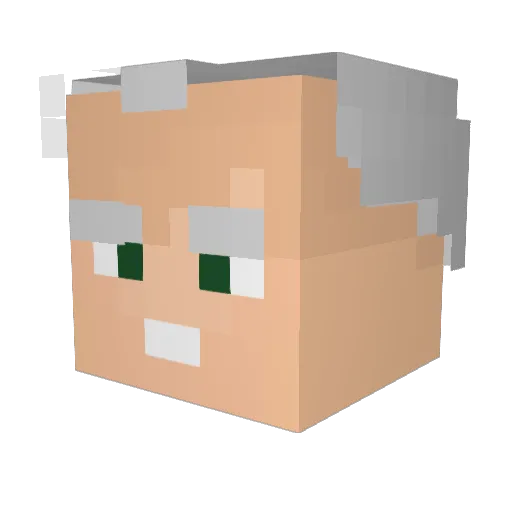 ROBERTOGOTTI Minecraft avatar head, 3D render