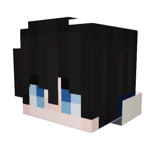 ROBIAN06 Minecraft avatar head, 3D render