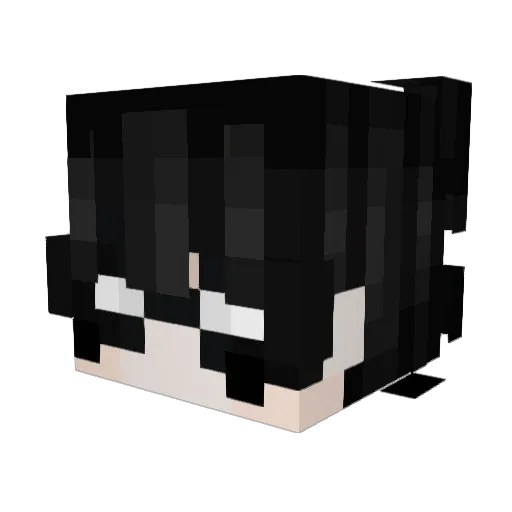 ROBINZAO Minecraft avatar head, 3D render