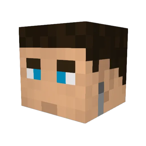 ROBIN_HOLGER Minecraft avatar head, 3D render