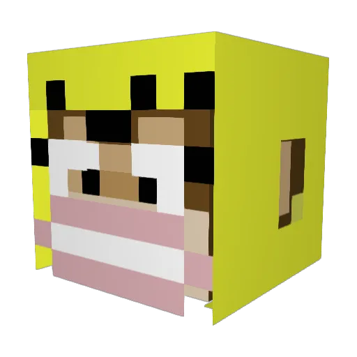 ROBSE21 Minecraft avatar head, 3D render