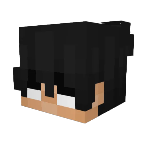 ROBSONGAMESLEGAL Minecraft avatar head, 3D render