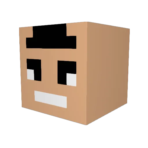 ROCKY_JR_GAMER Minecraft avatar head, 3D render