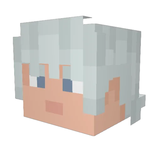 ROCKnROLLPSYCHO Minecraft avatar head, 3D render
