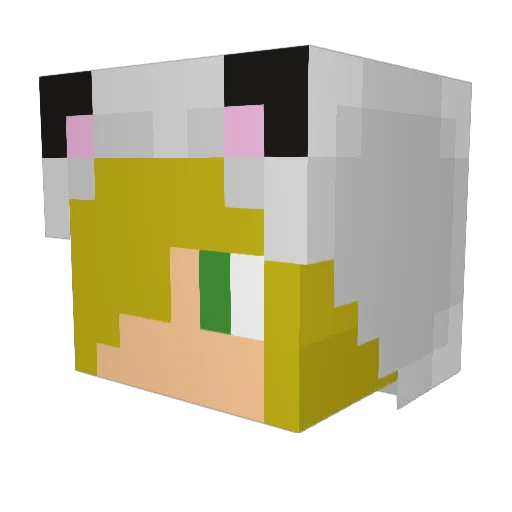 ROFLDOG123 Minecraft avatar head, 3D render
