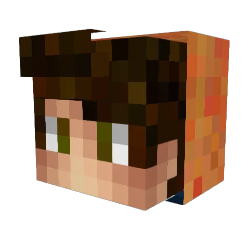 ROGOTY201500 Minecraft avatar head, 3D render