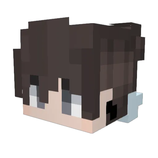 ROMPEORTOS300000 Minecraft avatar head, 3D render