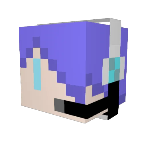 ROM_teacher Minecraft avatar head, 3D render