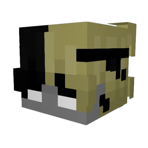 RONIN3850 Minecraft avatar head, 3D render