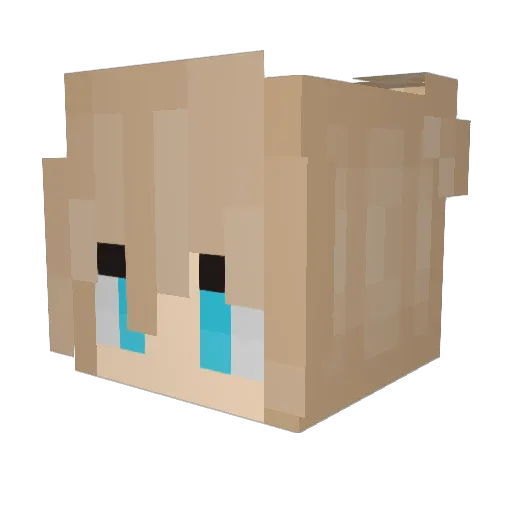 RONIN_yr Minecraft avatar head, 3D render