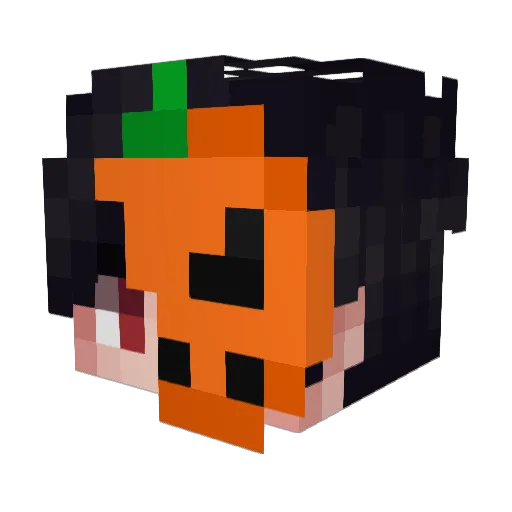 ROOBI__ Minecraft avatar head, 3D render