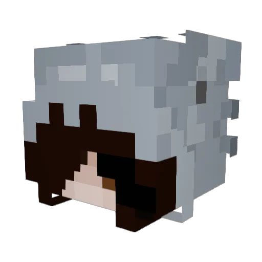 ROS09 Minecraft avatar head, 3D render