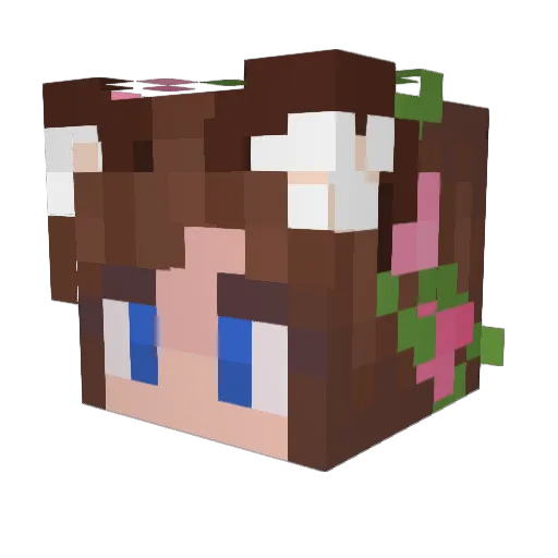 ROS3_ Minecraft avatar head, 3D render