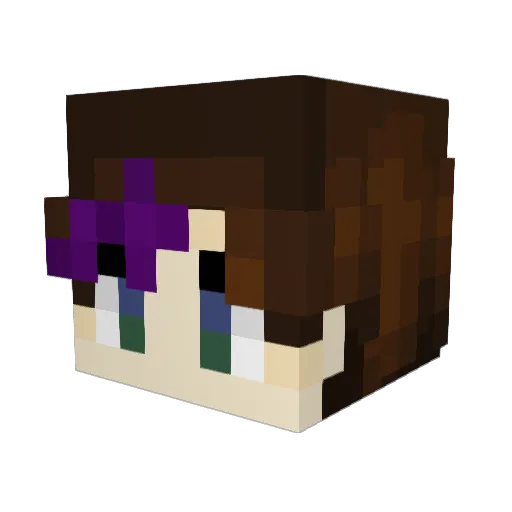 ROSHAnotGamer Minecraft avatar head, 3D render