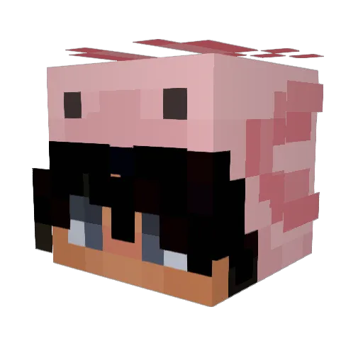 ROYNG Minecraft avatar head, 3D render