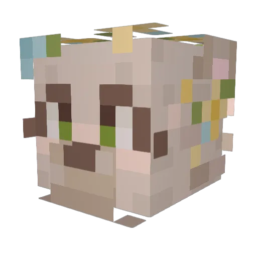 RPGWolfgamer Minecraft avatar head, 3D render