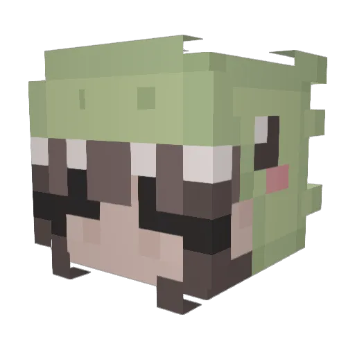 RPH89 Minecraft avatar head, 3D render