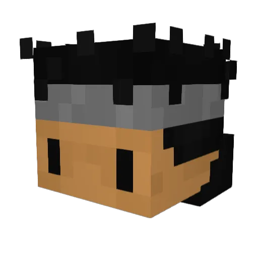 RPLM17 Minecraft avatar head, 3D render