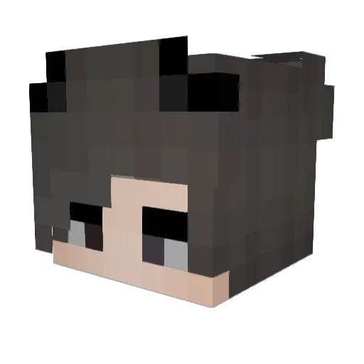 RPX_Exe_ Minecraft avatar head, 3D render