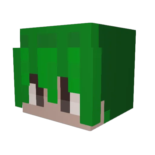 RQInfectious3785 Minecraft avatar head, 3D render