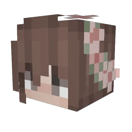 RR3DAACTED Minecraft avatar head, 3D render