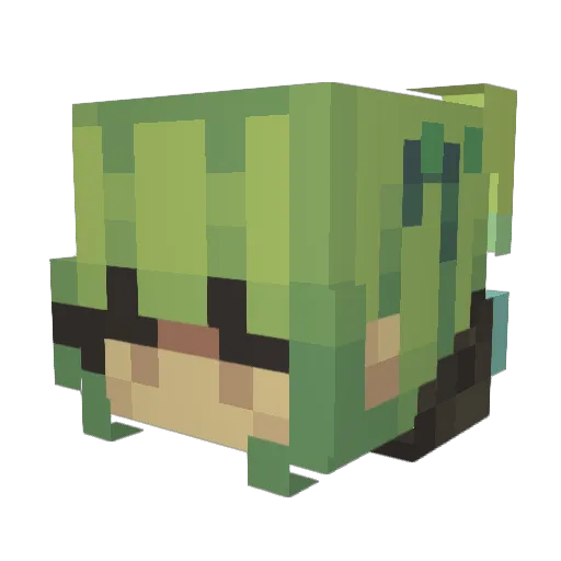 RRAAIINNSIX Minecraft avatar head, 3D render