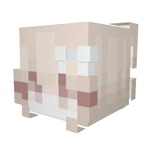 RRAJU Minecraft avatar head, 3D render