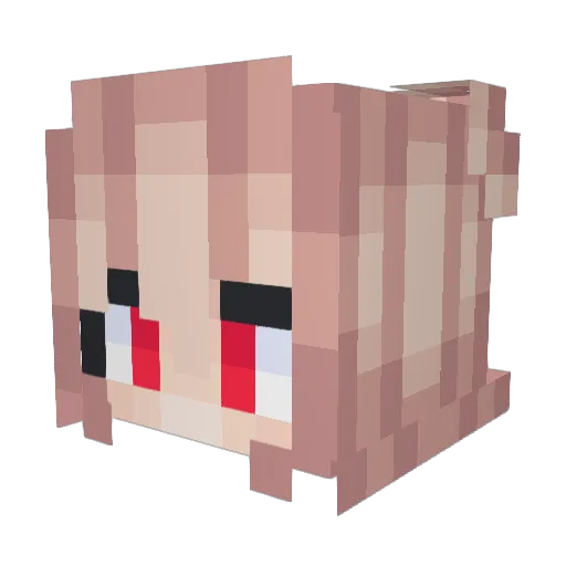 RRBJJB Minecraft avatar head, 3D render