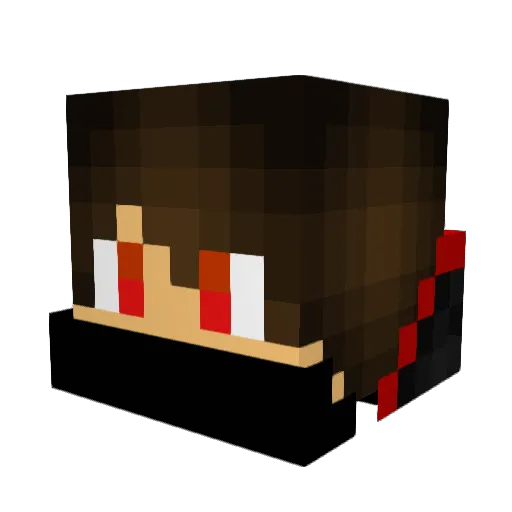 RRG4L Minecraft avatar head, 3D render