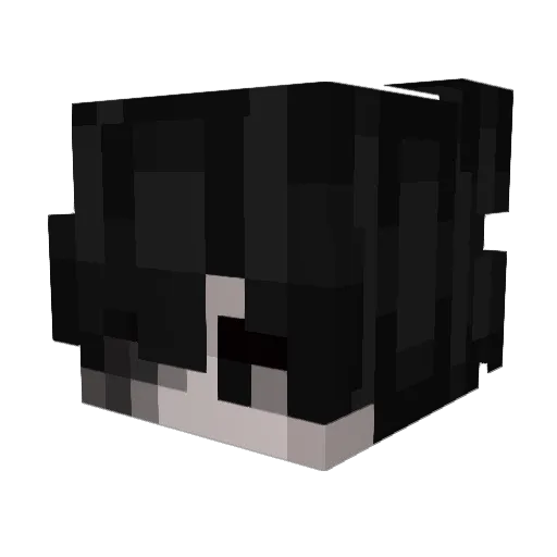 RRRA1N Minecraft avatar head, 3D render