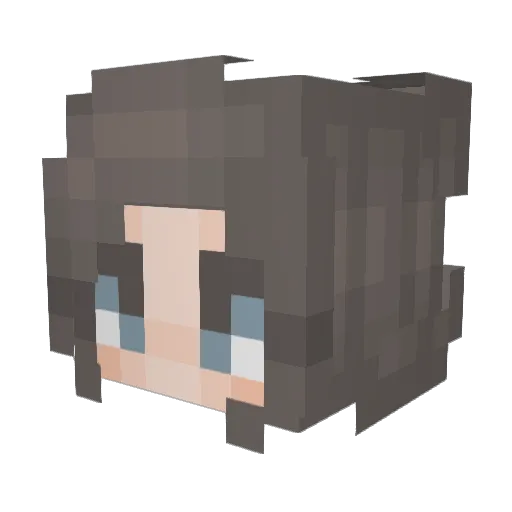RRagan8 Minecraft avatar head, 3D render
