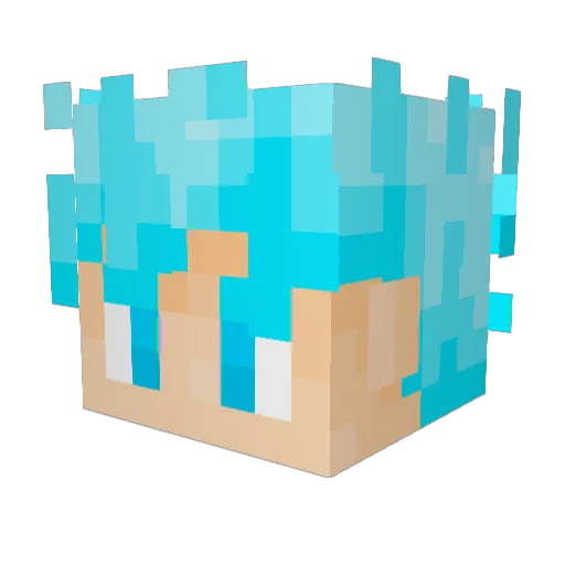 RS7_AN1M4L Minecraft avatar head, 3D render