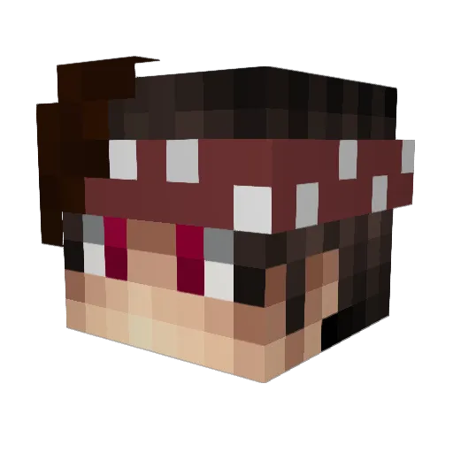 RS8_NickWar Minecraft avatar head, 3D render