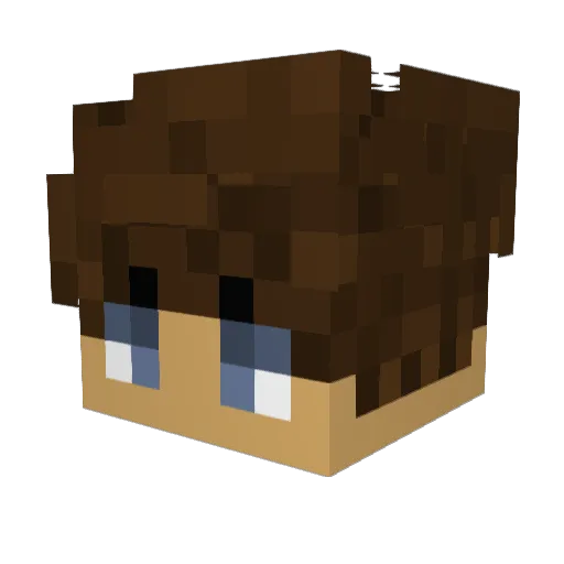 RSFa1be6l Minecraft avatar head, 3D render