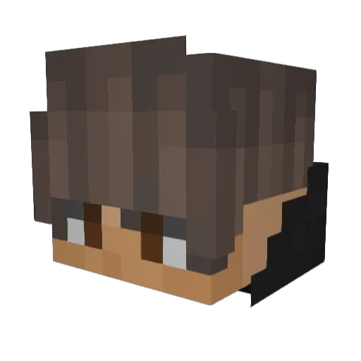 RSJAN11 Minecraft avatar head, 3D render