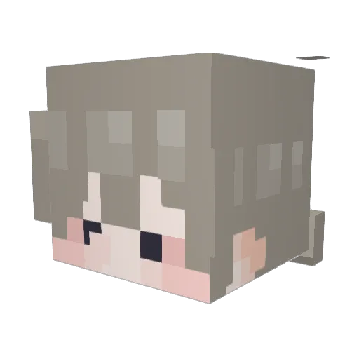 RSKID Minecraft avatar head, 3D render
