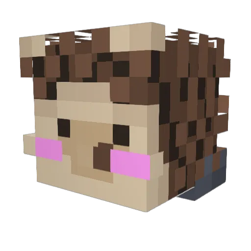 RSKQ Minecraft avatar head, 3D render