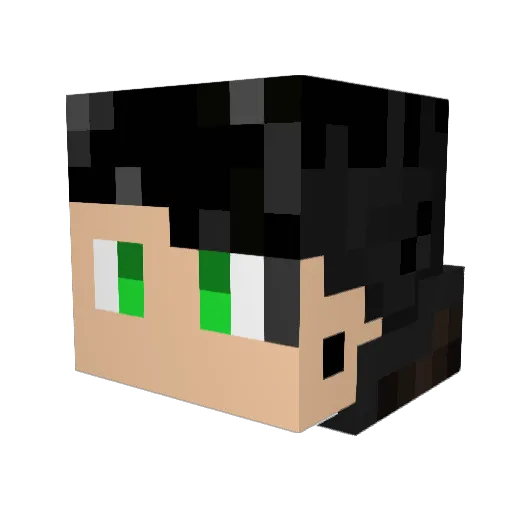 RSN8005 Minecraft avatar head, 3D render