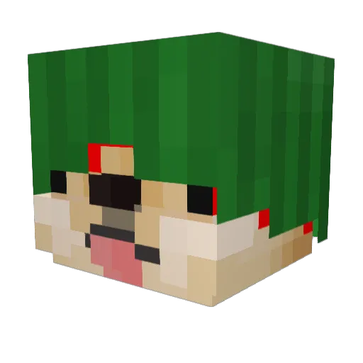 RSNGspace11 Minecraft avatar head, 3D render