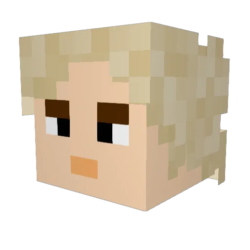 RSN_CHEMLABRAT Minecraft avatar head, 3D render