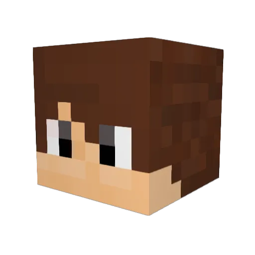 RSN_Flappie Minecraft avatar head, 3D render