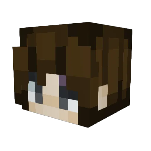 RSNinja Minecraft avatar head, 3D render