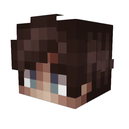 RSTA Minecraft avatar head, 3D render