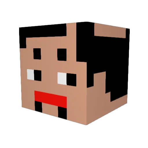 RS_FeiLian Minecraft avatar head, 3D render
