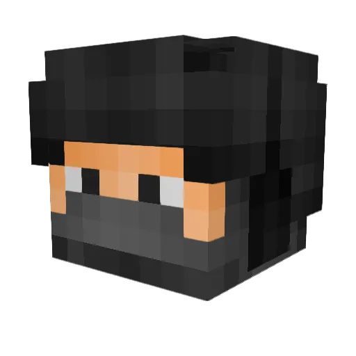 RS_Raider Minecraft avatar head, 3D render