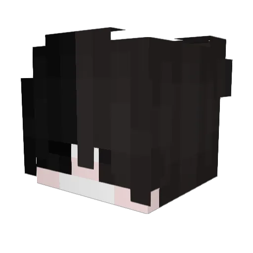 RS_TRUe Minecraft avatar head, 3D render