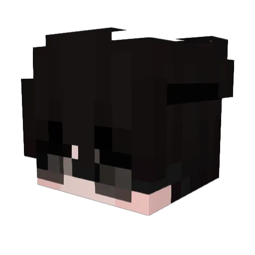 RSimplicio Minecraft avatar head, 3D render