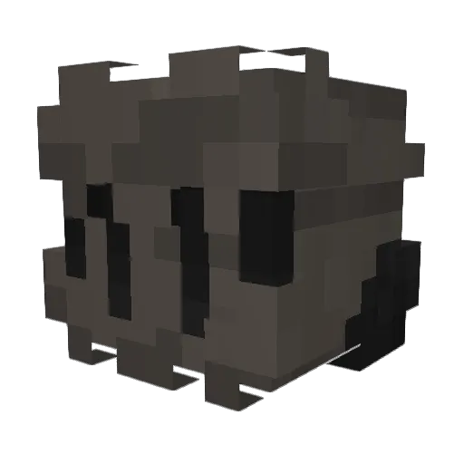RSnicc Minecraft avatar head, 3D render