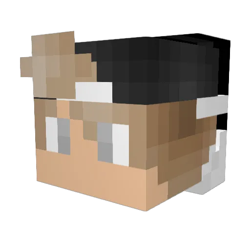 RTVRyZe Minecraft avatar head, 3D render